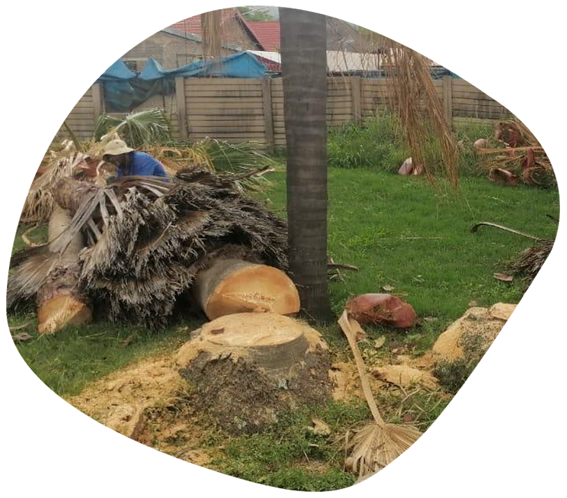 stump-removal